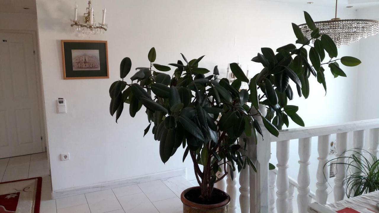Leon'S Silberwald Apartment Strasshof an der Nordbahn Luaran gambar